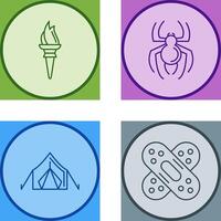 Torch and Spider Icon vector