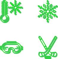 Snow Flake and Cold Icon vector