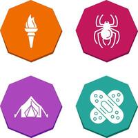 Torch and Spider Icon vector