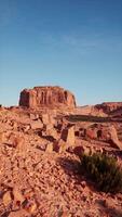 dor Nevada woestijn landschap met rotsen en planten video