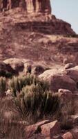 uomo equitazione cavallo attraverso Nevada deserto video