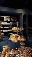 Array of Freshly Baked Goods at Old Bakery Counter video