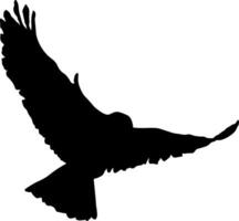negro silueta de un pájaro sin antecedentes vector