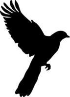 negro silueta de un pájaro sin antecedentes vector