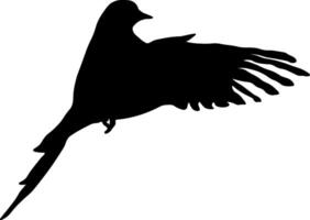 black silhouette of a bird without background vector