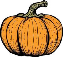 illustration of a pumpkin with a black outline without background vector