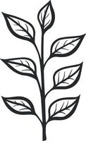 branch with leaves or plant without background vector