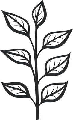 branch with leaves or plant without background