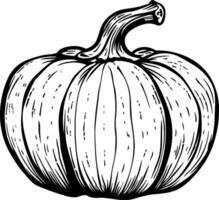 black silhouette of pumpkin without background vector