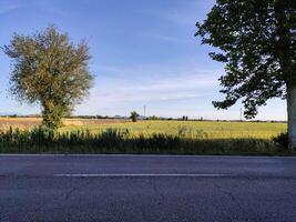 Agriculture field and street photo