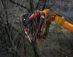 municipal Servicio trabajadores estar con un motosierra en un grua cesta y podar peligroso arboles foto