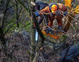 Municipal service workers stand with a chainsaw in a crane basket and trim dangerous trees photo