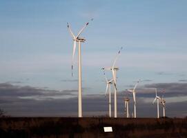 Austria, road to Vienna from Bratislava - 01.14.2024 Wind farm park next to a road in Austria in sunny weather photo