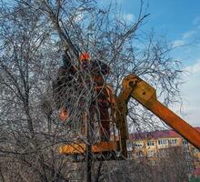 Dnepr, Ukraine - 03.20.2024 Municipal service workers stand with a chainsaw in a crane basket and trim dangerous trees. photo