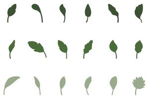 Leaf set icon. Nature vector