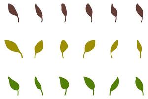 Leaf set icon. Nature vector