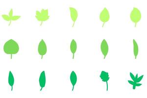 Leaf set icon. Nature vector