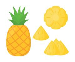 Pineapple Slices Collection Tropical Summer Fruit Doodle Illustration vector