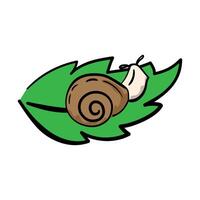 Snail on a green leaf in hand-drawn style, concept about a rainy season. Isolated illustration for print, digital and more design vector