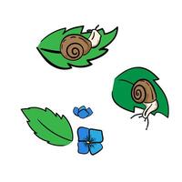 Set of snails on a green leaf, flowers in hand-drawn style, concept about a rainy season. Isolated illustration for print, digital and more design vector