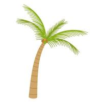 Tropical palm tree vector