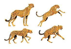 ilustración de el leopardo animal vector