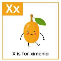 Fruta y vegetal alfabeto tarjeta de memoria flash para niños. aprendizaje letra X. X es para ximenia. vector