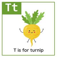 Fruit and vegetable alphabet flashcard for children. Learning letter T. T is for turnip. vector