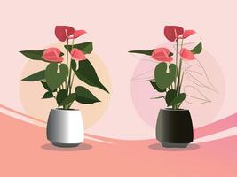 Flamingo flower plant for interior decor of home or office vector