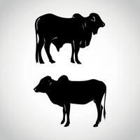 conjunto de vacas silueta vaca aislado en blanco vector