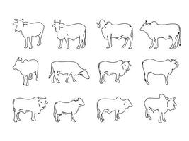 Cows line art collection black and white vector