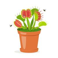 Dionaea muscipula, Venus flytrap in a pot with insects . flat illustration isolated on white background vector