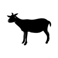 A black goat is silhouetted against a white background vector