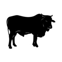 conjunto de vacas silueta vaca aislado en blanco vector