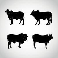 conjunto de vacas silueta vaca aislado en blanco vector