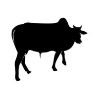 conjunto de vacas silueta vaca aislado en blanco vector