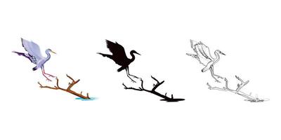 Set of birds. Crane, stork, heron. silhouette, colure and Line art. illustration vector
