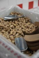 Fresh peanuts with shells box.Iron spatula for set of peanuts.Elephant delicacy photo