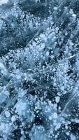 Abstract air bubbles frozen on the ice surface of Lake Baikal in Siberia. photo