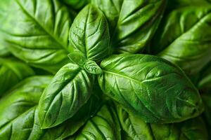 Macro shot of basil leaf texture, detailed focus on the veins and vibrant green color photo