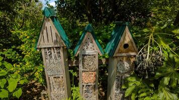 Tres rústico insecto hoteles anidado en un lozano jardín, promoviendo biodiversidad y sostenibilidad, ideal para mundo ambiente día y nacional polinizador semana conceptos foto