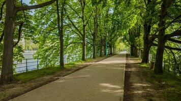 tranquilo orilla caminando camino forrado con lozano verde arboles en un soleado primavera día, ideal para tierra día temas y al aire libre ocio conceptos foto