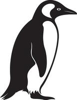 Penguin Silhouette Illustration White Background vector