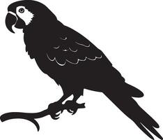 Parrot Silhouette Illustration White Background vector