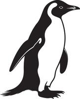 Penguin Silhouette Illustration White Background vector