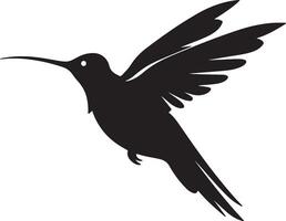 Hummingbird Silhouette Illustration White Background vector