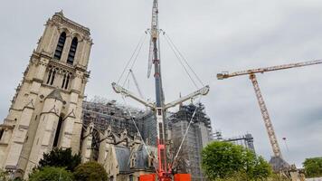 restauracion en Progreso a notre dama catedral con grúas y andamio, representando europeo herencia, conservación esfuerzos, y el enviar fuego reconstrucción proyecto foto