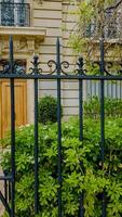 Elegant wrought iron fence with decorative elements in front of a classic European townhouse with lush green shrubs, implying privacy and luxury real estate photo