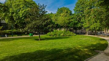 Tranquil city park on a sunny day with lush green grass and mature trees, ideal for relaxation and leisure on Earth Day or Arbor Day photo