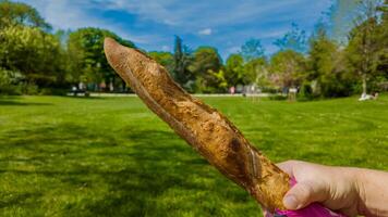 Fresh baguette held against a sunny park backdrop, evoking concepts of picnics, French cuisine, and leisurely summer afternoons photo